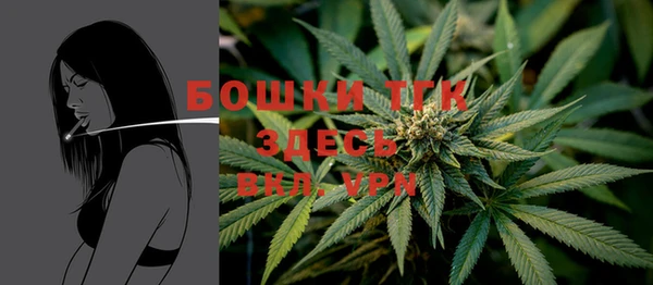 сатива Алексин