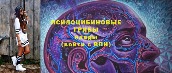 сатива Алексин
