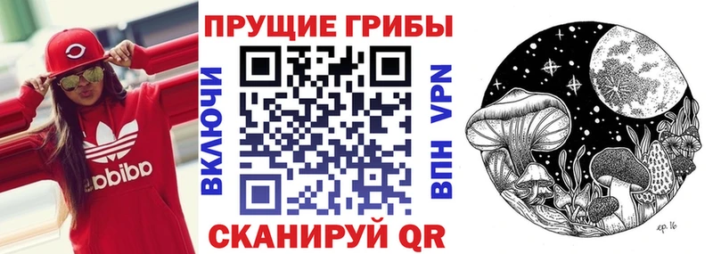 даркнет сайт  Урюпинск  Псилоцибиновые грибы Psilocybine cubensis 